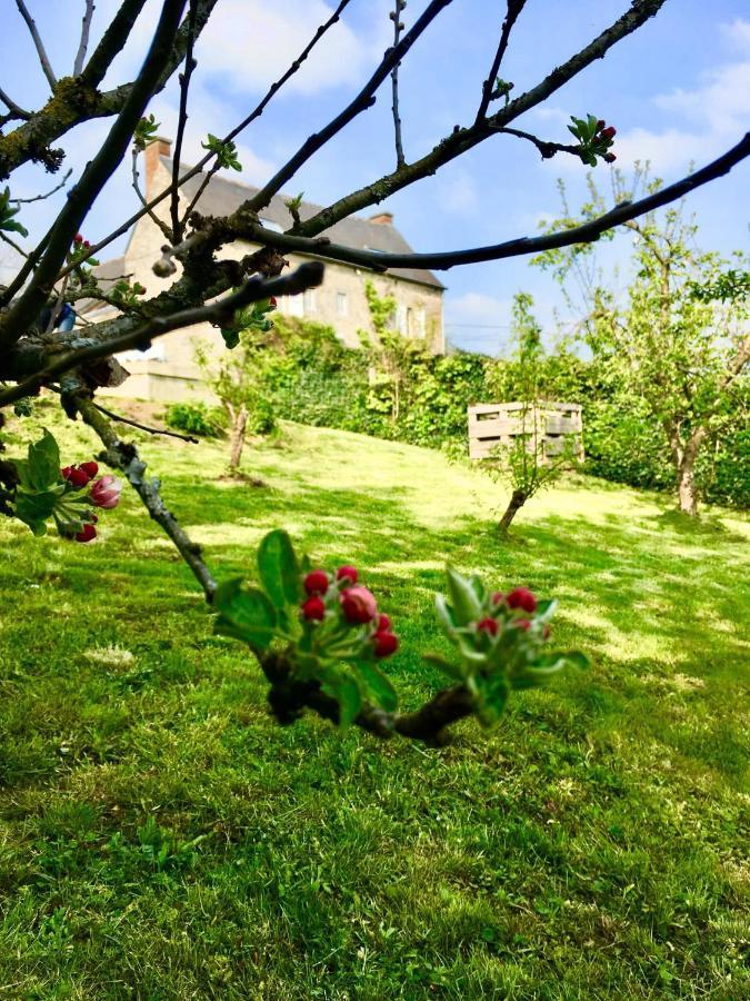 Gite La Petite Beurrerie Des Ardennes Celles  Luaran gambar