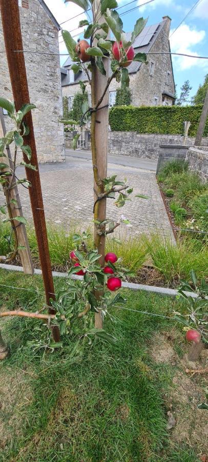 Gite La Petite Beurrerie Des Ardennes Celles  Luaran gambar